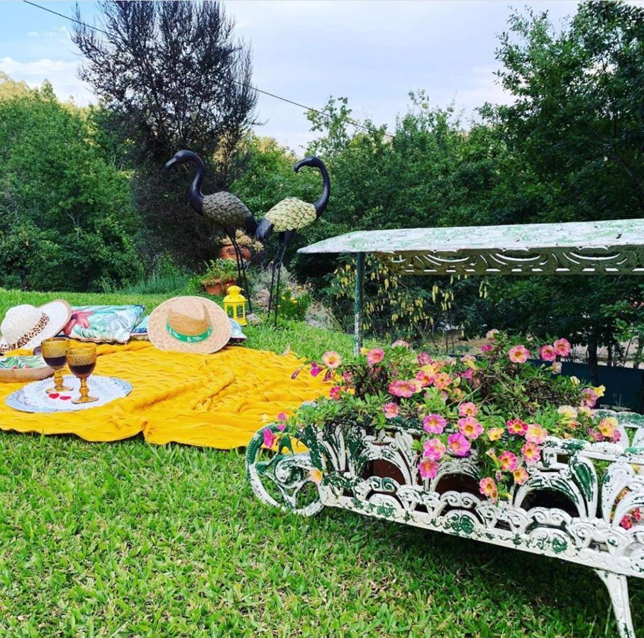 Quinta Paraiso Do Ermal Vieira do Minho Eksteriør bilde