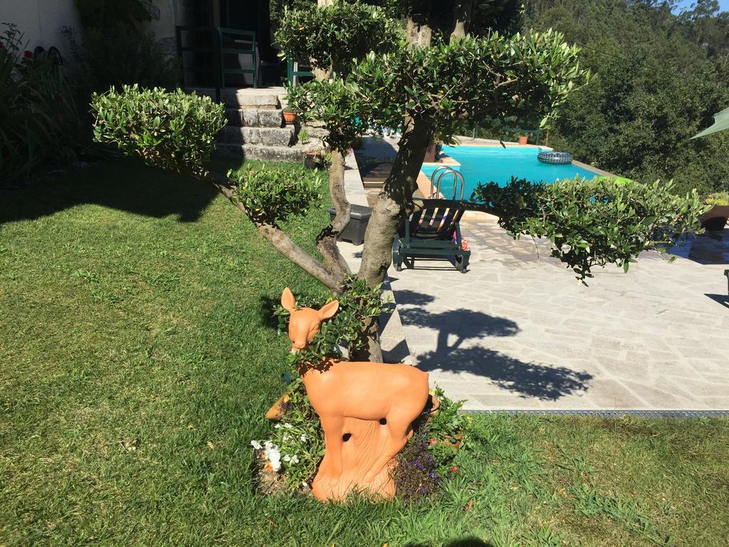 Quinta Paraiso Do Ermal Vieira do Minho Eksteriør bilde